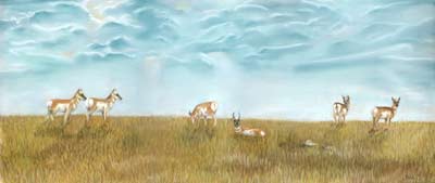 Painting of some antelope relaxing on the prairies in Saskatchewan, land of the living skies
