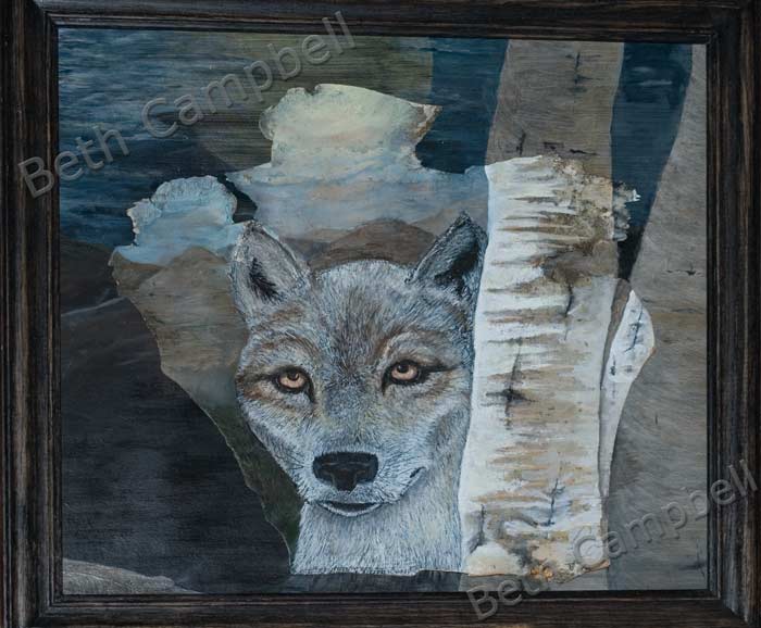 Painting of a Wolf done on birch bark by Artist Beth Campbell