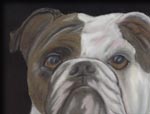 Painting of Charlie, a bulldog