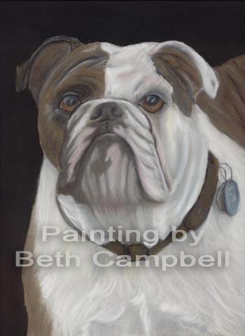 Painting of artist Beth Campbell's neice's bulldog Charlie