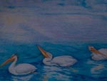 Coloured pencil work of pelicans by the Gardner Dam on the Saskatchewan River
