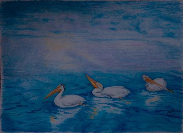 Painting of pelicans by Gardner Dam