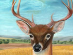 Pastel of deer with Someone Watching Over