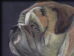 Painting of Duece, a bulldog
