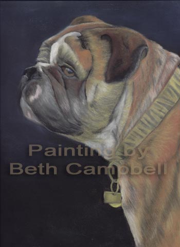 Painting of artist Beth Campbell's neice's bulldog Duece