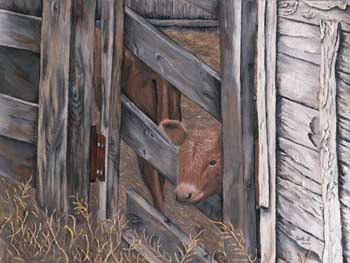 Painting of a Calf Peeking through Gate