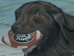 Painting of a  Chocolate Lab fetching a football by swimming in Lake Diefenbaker