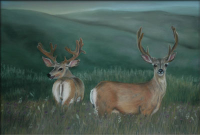 Pastel painting of mule deer by artist Beth Campbell