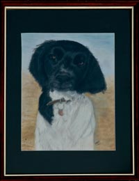 Painting of Viola - a munsterlander dog